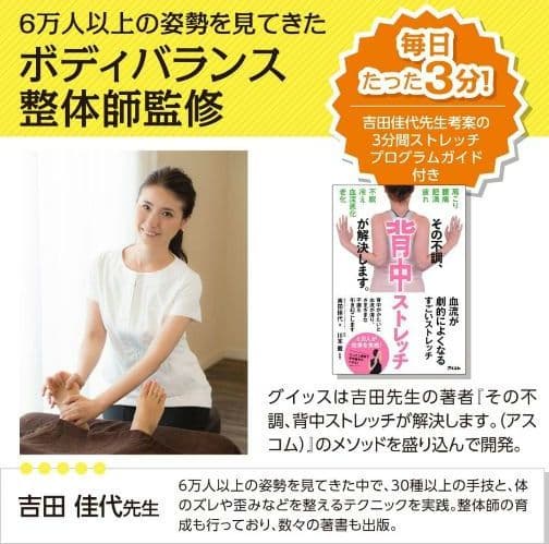 腰痛に 腰楽ストレッチ 座椅子 グイッス グレー セシール