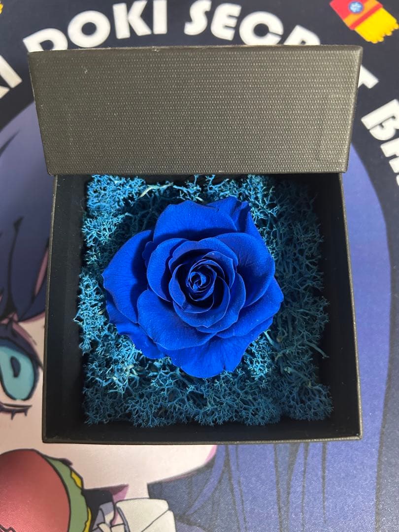 Ado SPECIAL LINE 心臓 2024 VIP特典セット