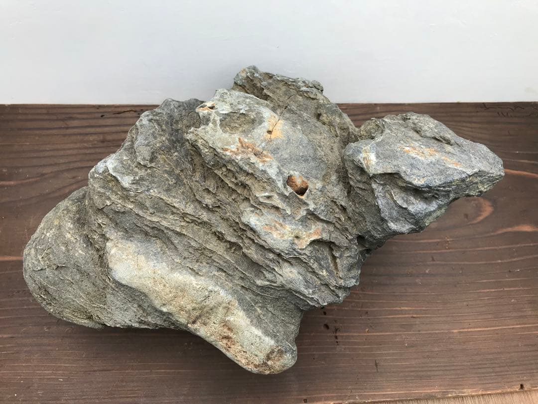 【水石】銘石 加茂川『真黒石』　加茂川石