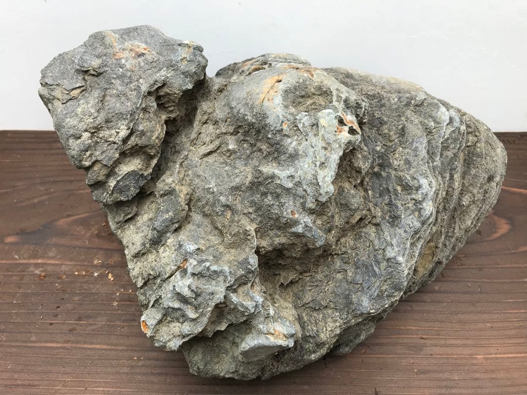 【水石】銘石 加茂川『真黒石』　加茂川石