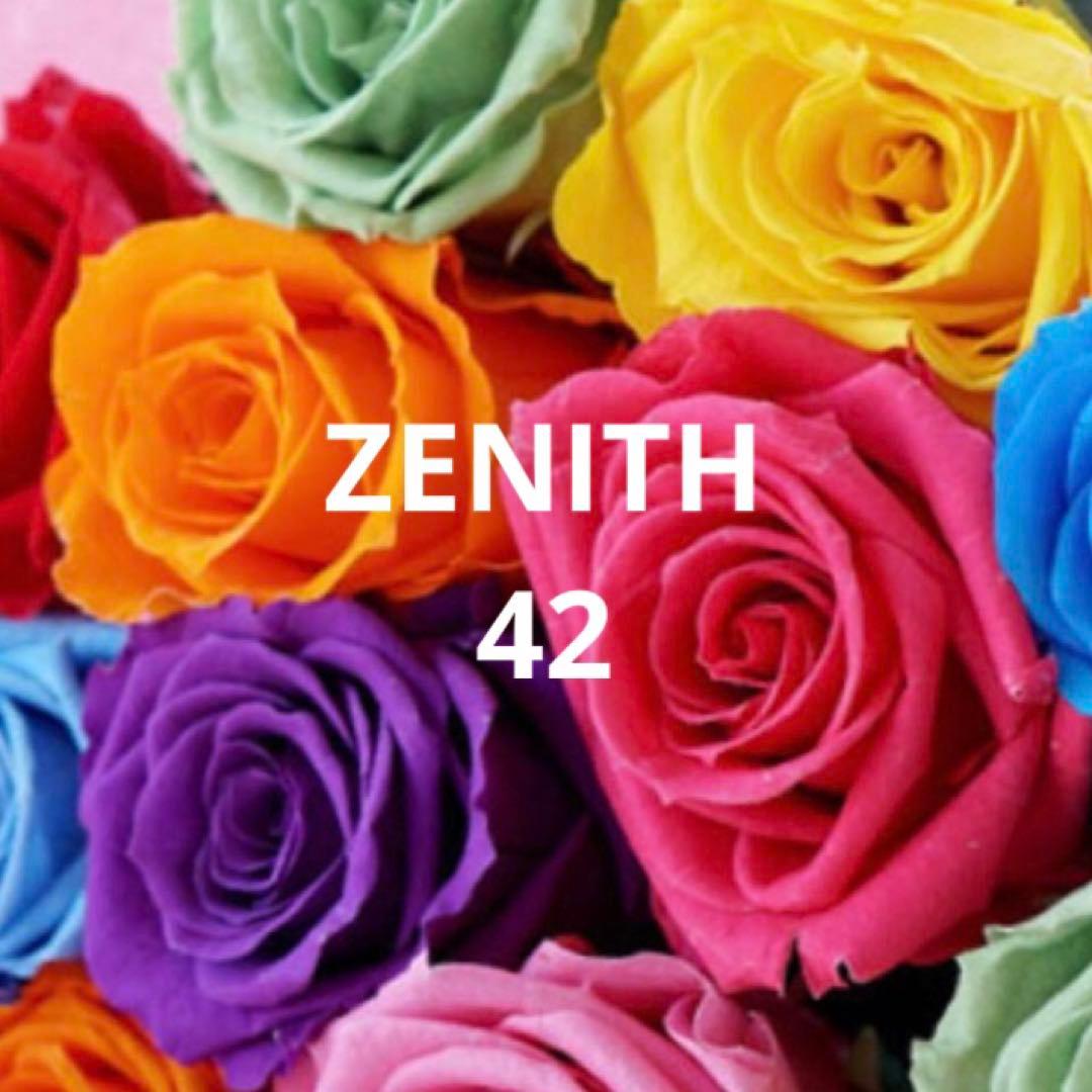 新品タグ付き‼️【マックスマーラ】42 ZENITHボタン付きコートミルクティー