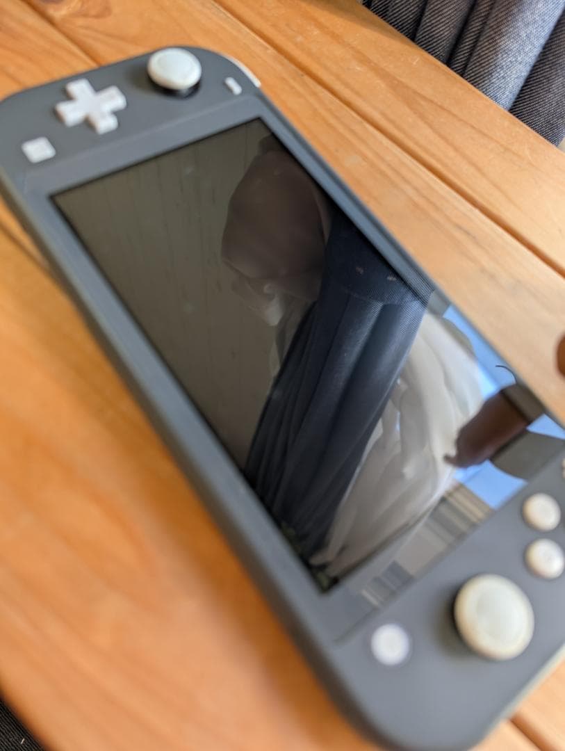 Minecraft Nintendo Switch Lite 本体