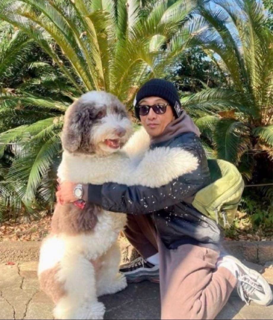 キムタク着同型同色USウエストバッグM-65 Quilted Liner木村拓哉