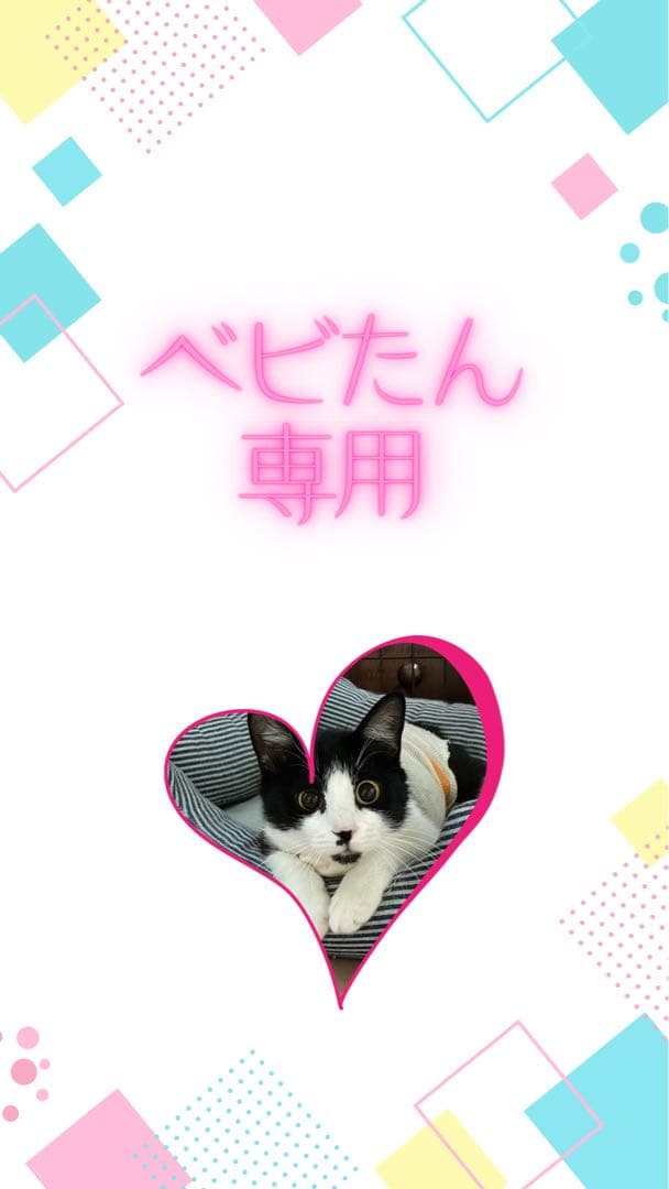 ベビたん専用 ピアス