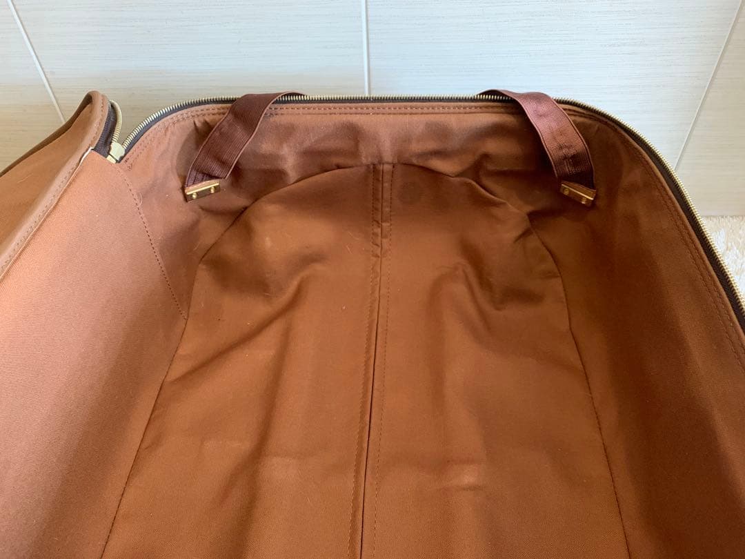 ⭐️ルイヴィトン　キャリーケース　ペガス55 モノグラム