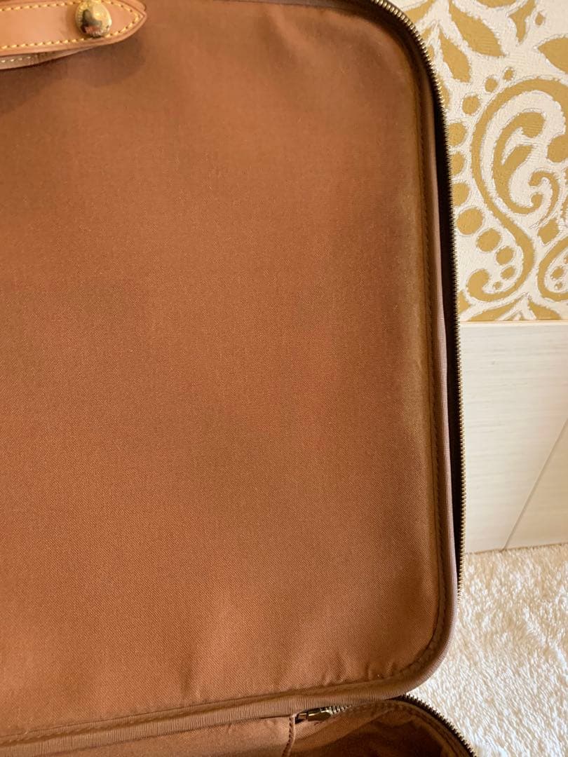 ⭐️ルイヴィトン　キャリーケース　ペガス55 モノグラム