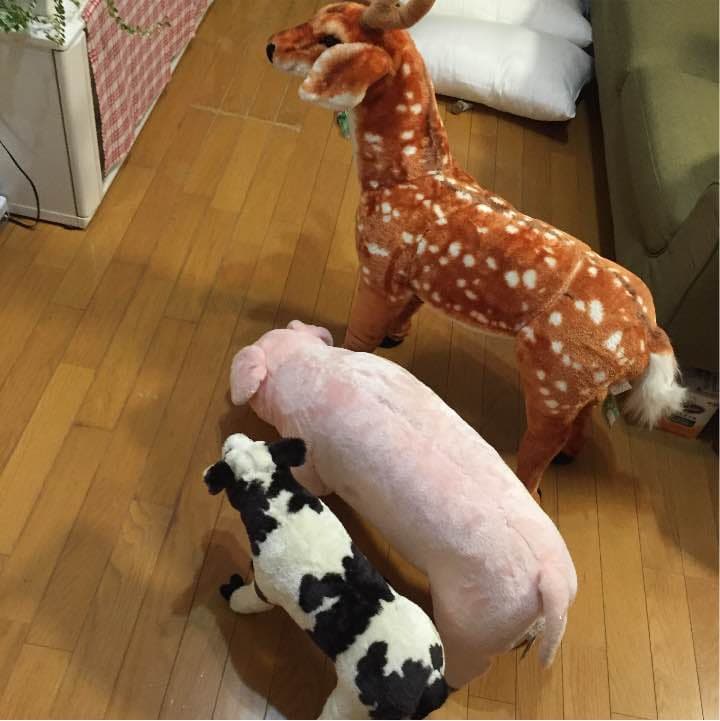 アニマル椅子  ３つセット