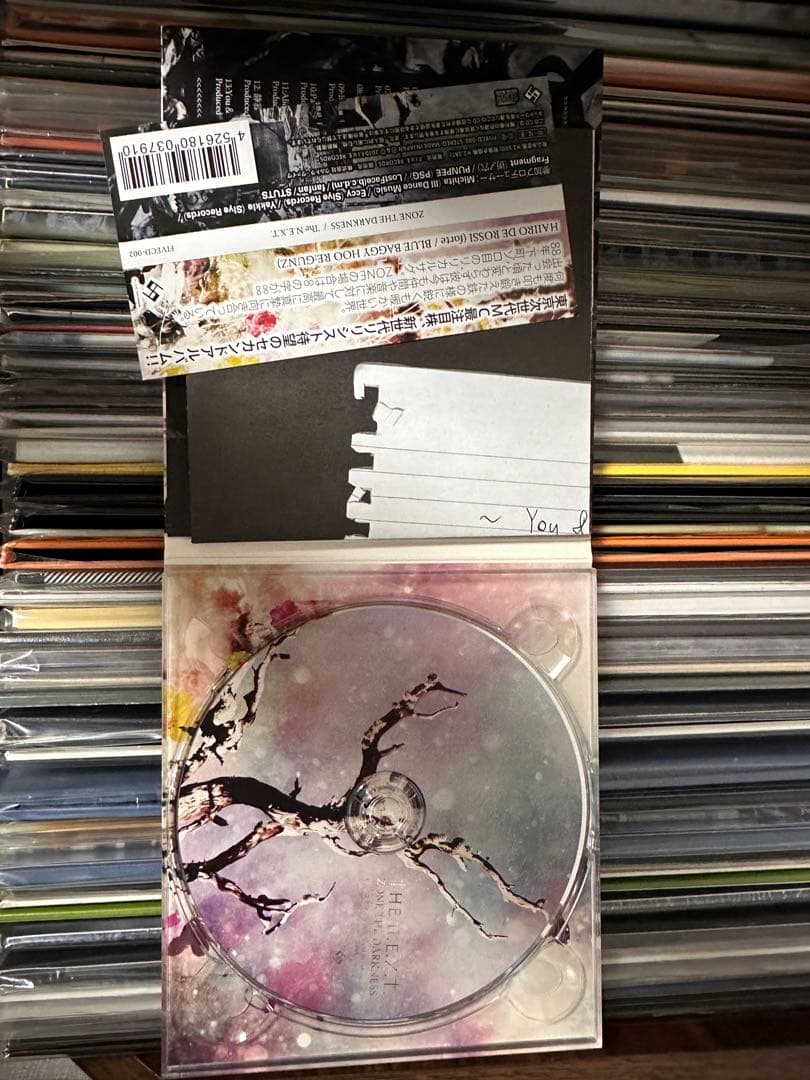 邦楽 The N.E.X.T. /ZONE THE DARKNESS ZORN