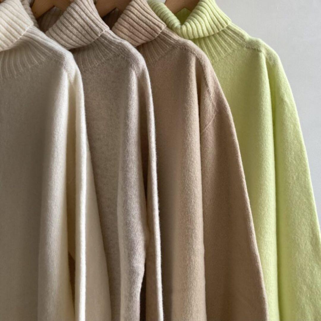 ハンズオブクリエィション　タートルニット　evam eva えみおわす