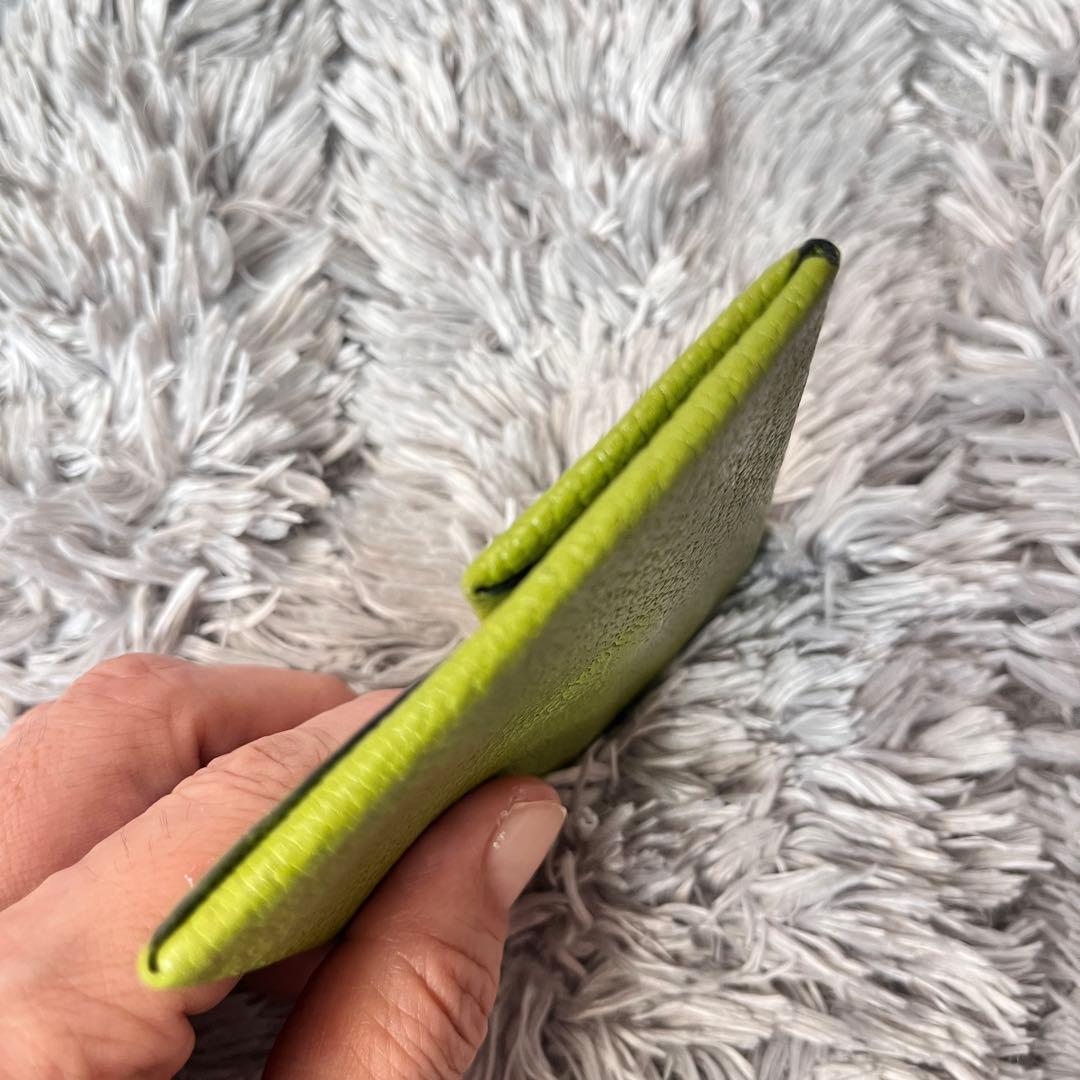 美品✨エルメス　バスティア　ケース　レアカラー　グリーン