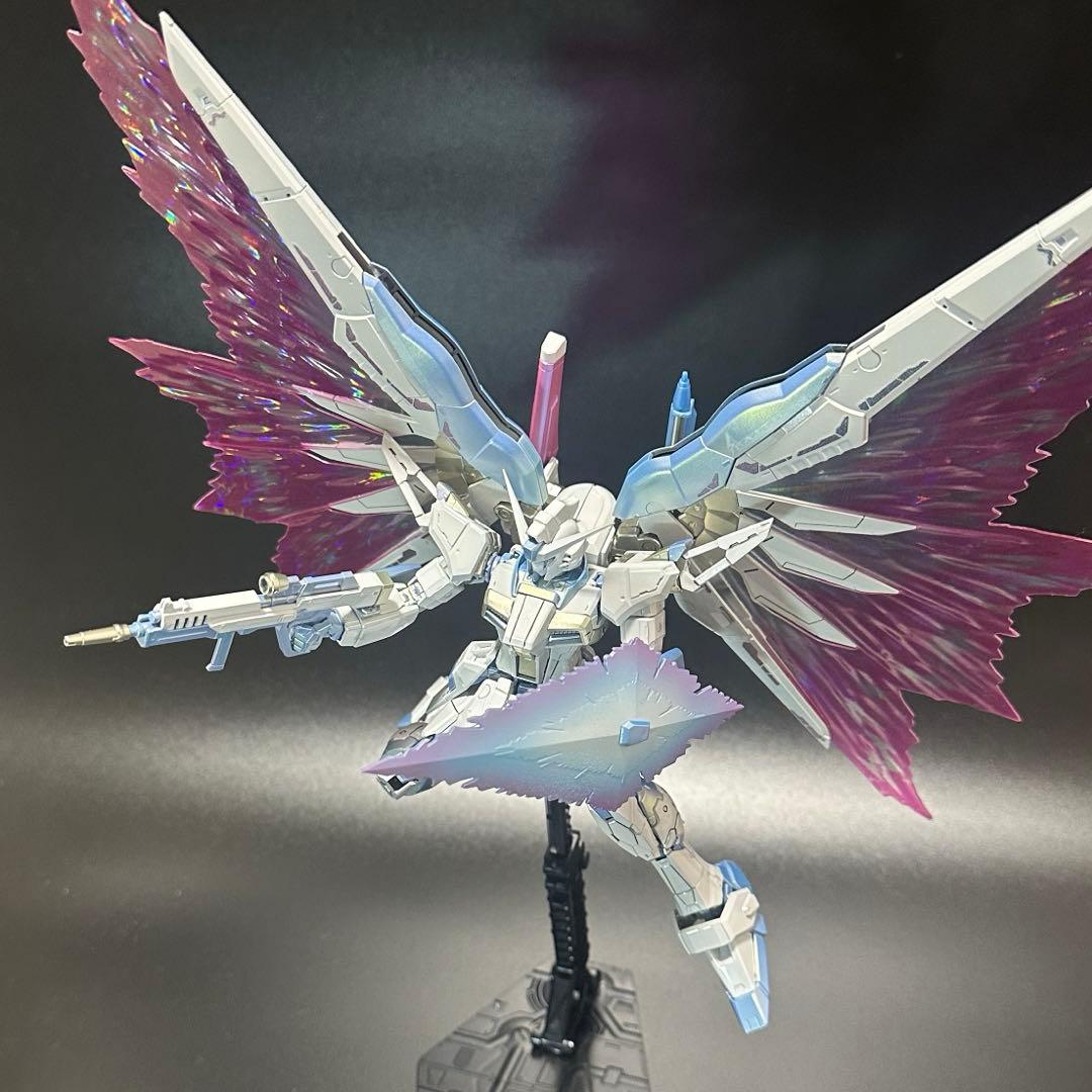 N*y様 RGデスティニーガンダム　チタニウムフィニッシュ トワイライトコーティ