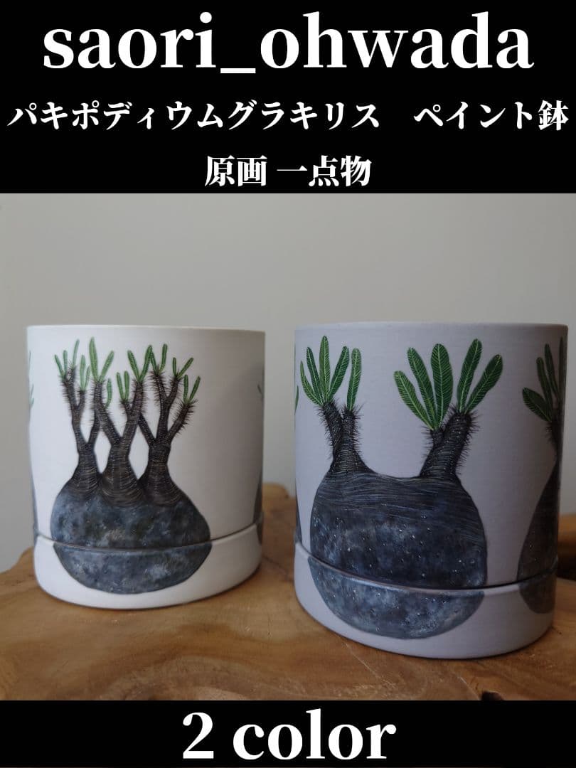 【一点物】 saori_ohwada パキポディウム グラキリス ペイント鉢