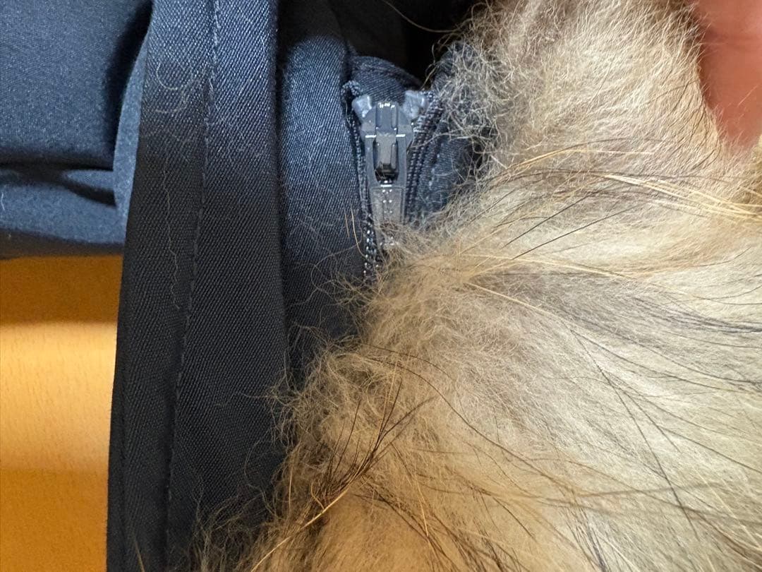 ★新品未使用★ダントン DANTON ショート丈 ダウンジャケット