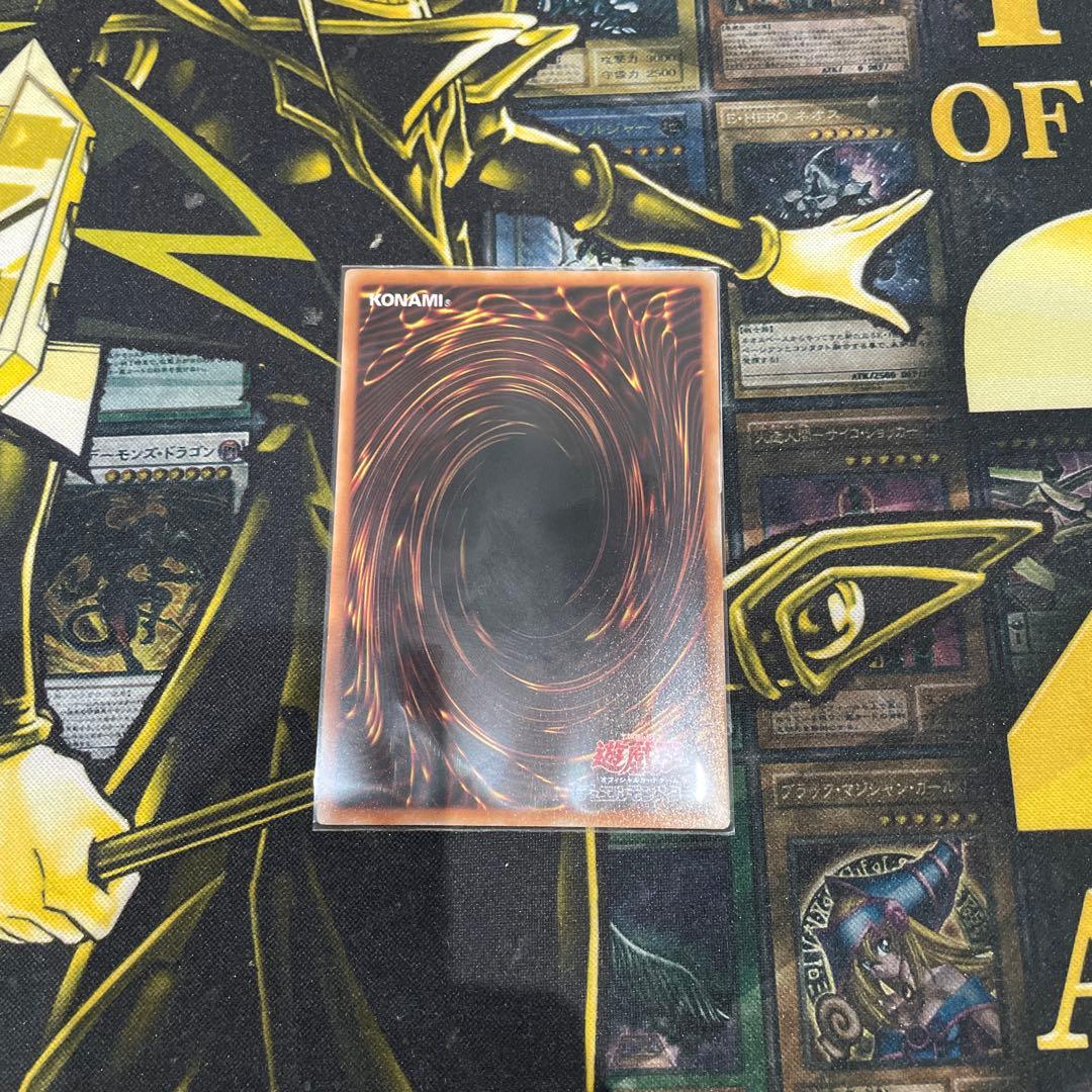 大輪の霊使い　プリシク