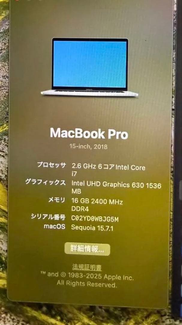 MacBook Pro 15㌅ Core i7 6Core・16GB・512GB