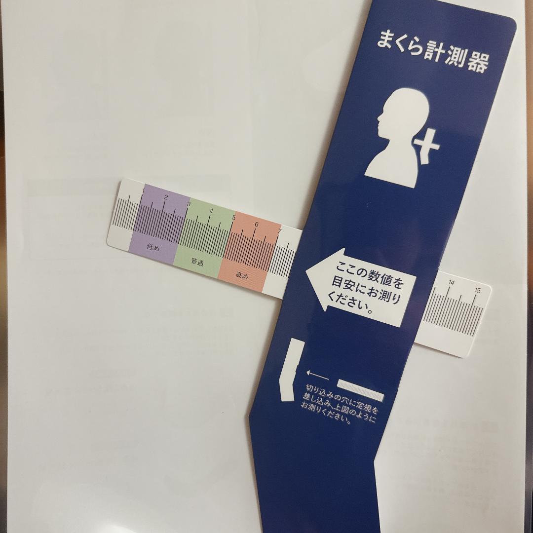 TENTIAL BAKUNE MAKURA テンシャル バクネ 枕