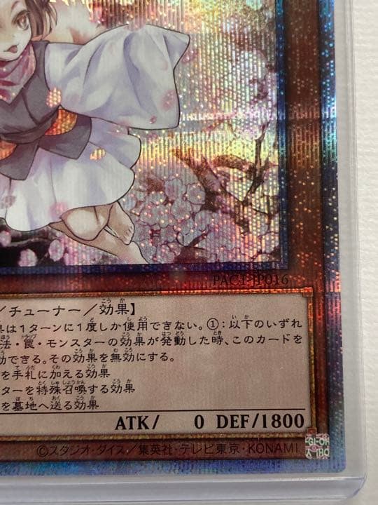 遊戯王　灰流うらら　プリシク