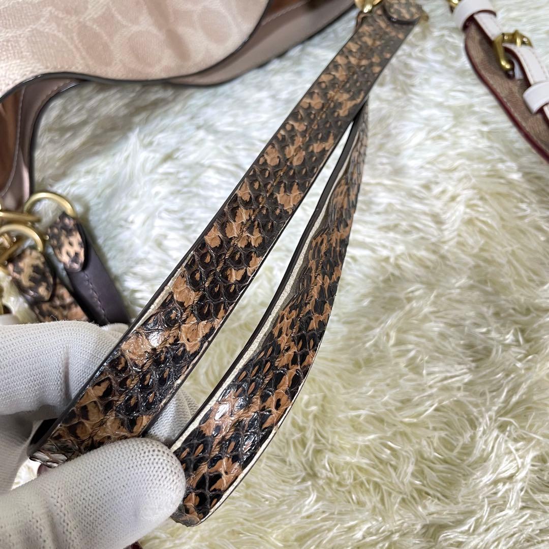 レア❗️コーチ ダルトン 31 ブロック シグネチャー スネークスキン ディテール