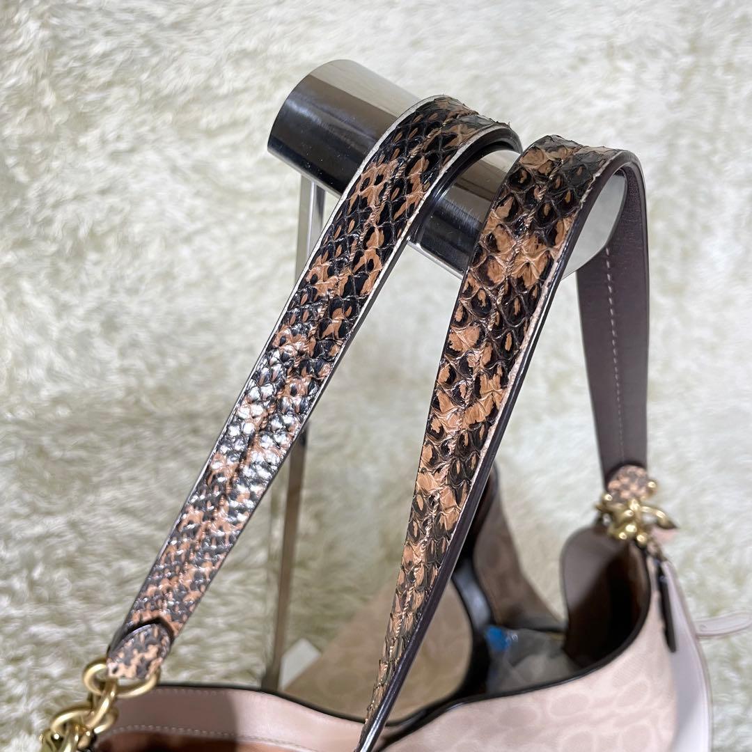 レア❗️コーチ ダルトン 31 ブロック シグネチャー スネークスキン ディテール