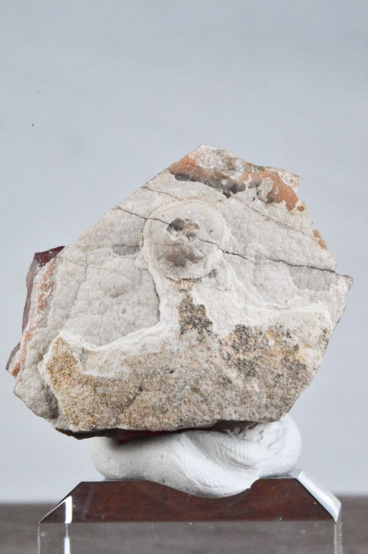 北海道稲倉石鉱山産 菱マンガン鉱 未研磨01