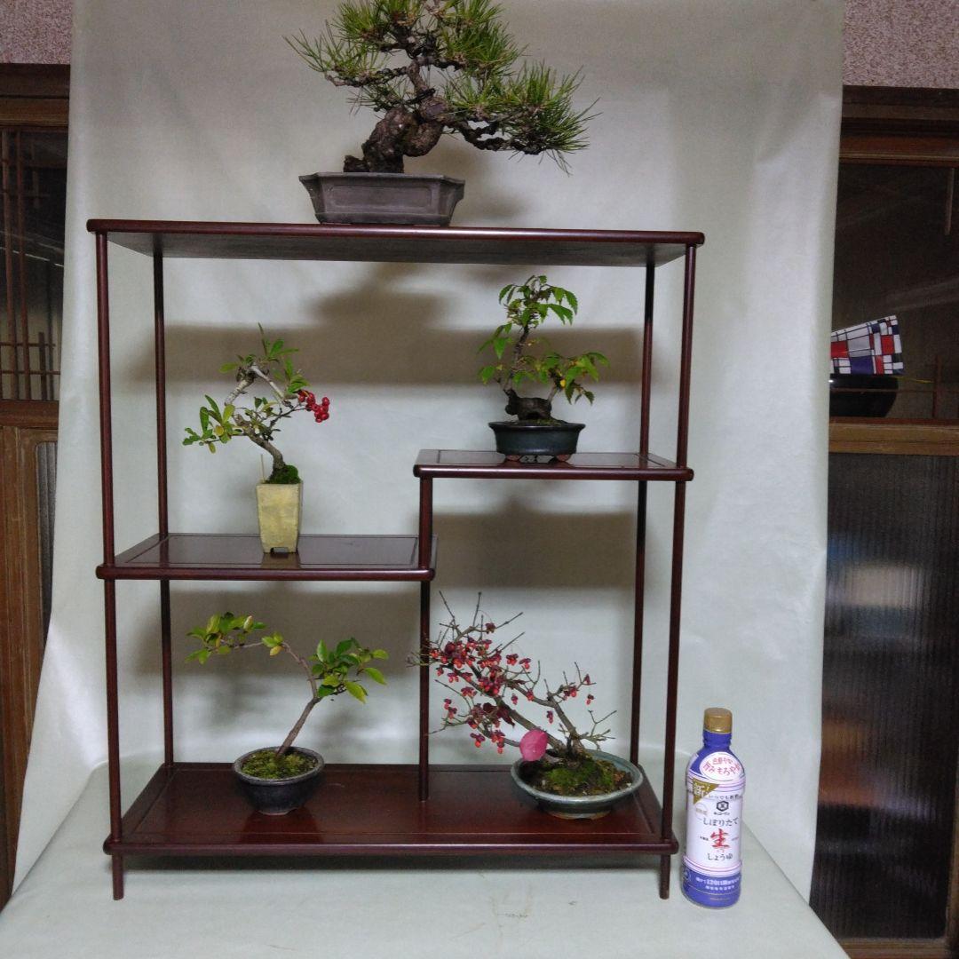 盆栽　棚飾り台　添え台付