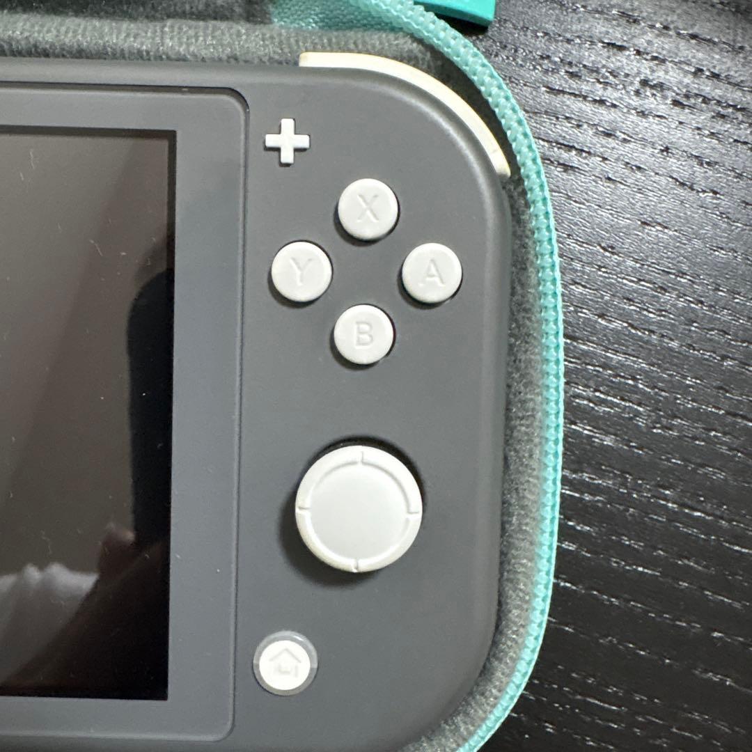 Nintendo Switch Lite 本体 （グレー）+ キャリングケース