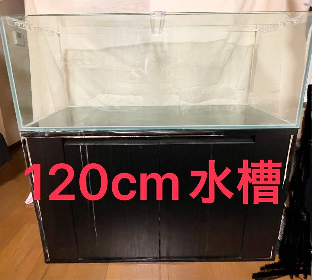 120cm ガラス水槽 コトブキ工芸　レグラスフラット