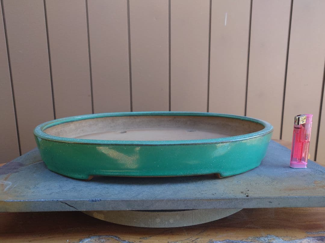 盆栽　鉢　山房　幅40.8cm