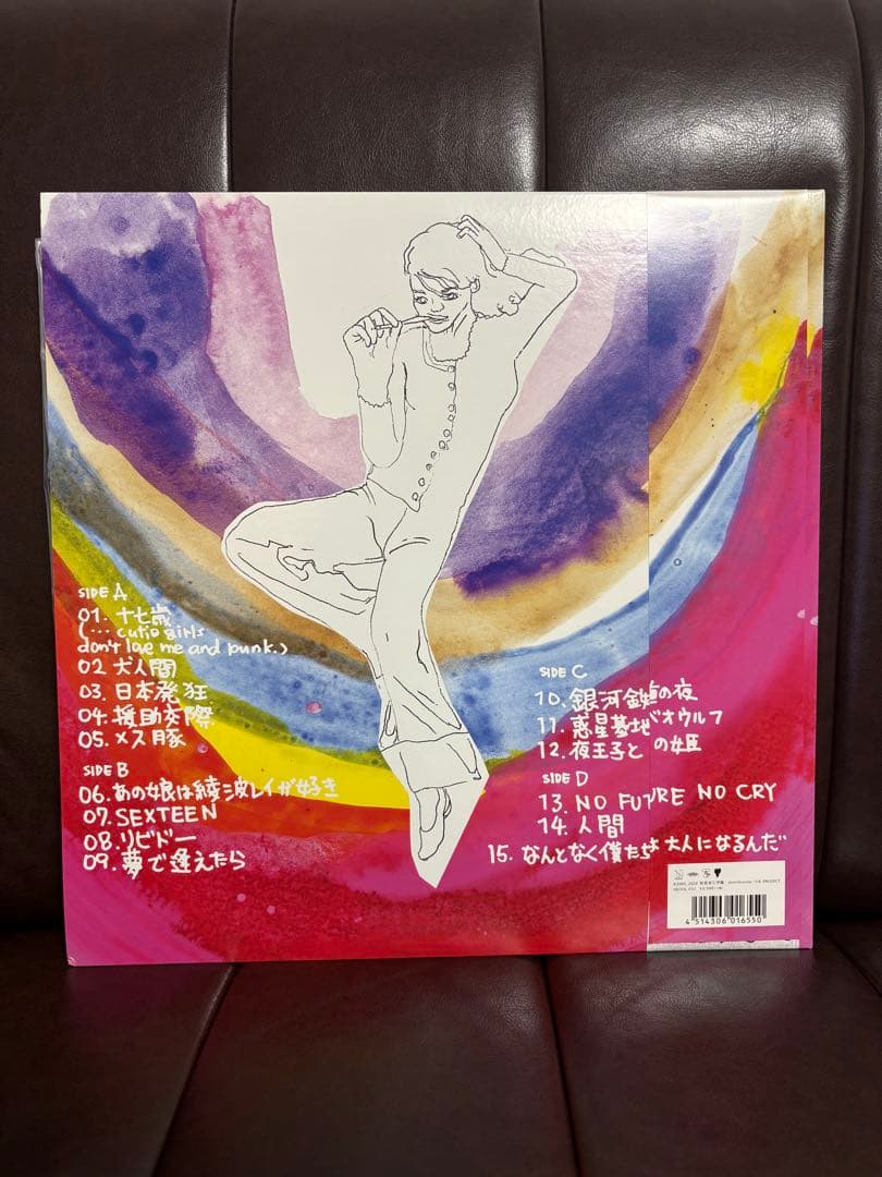 銀杏BOYZ / DOOR レコード