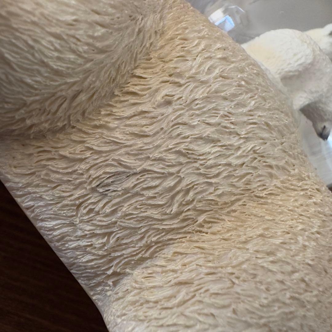 Twinkle社製 スノードーム シロクマの親子