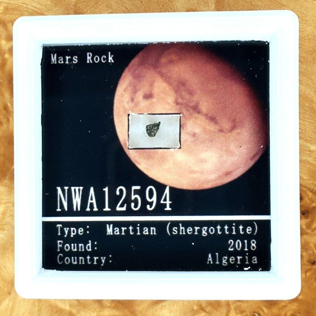 ⭐火星の石！シャーッゴッタイト　 NWA 12594　隕石標本