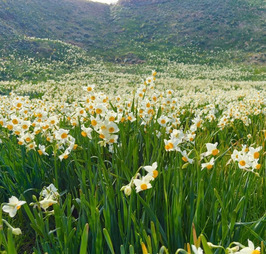 カッチョイイ　ライダース