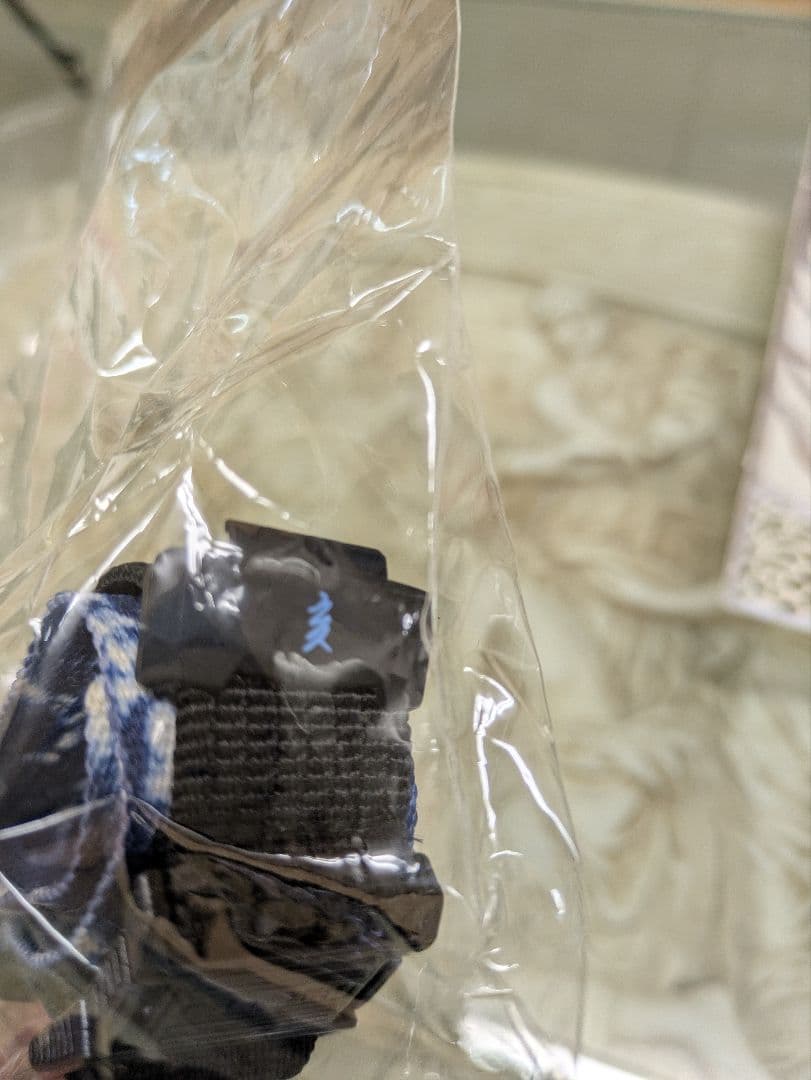 ✯G-SHOCK✯『12 BEASTS 』CASIO　　ブルー G−100