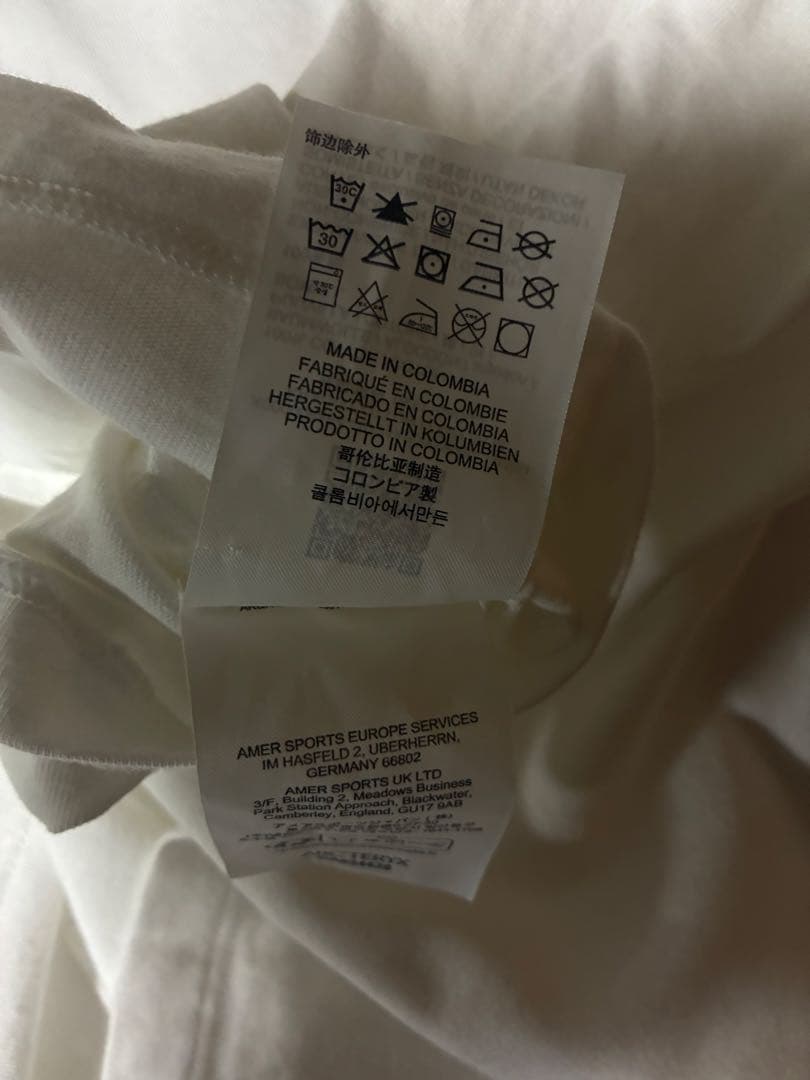 アークテリクス　メンズT