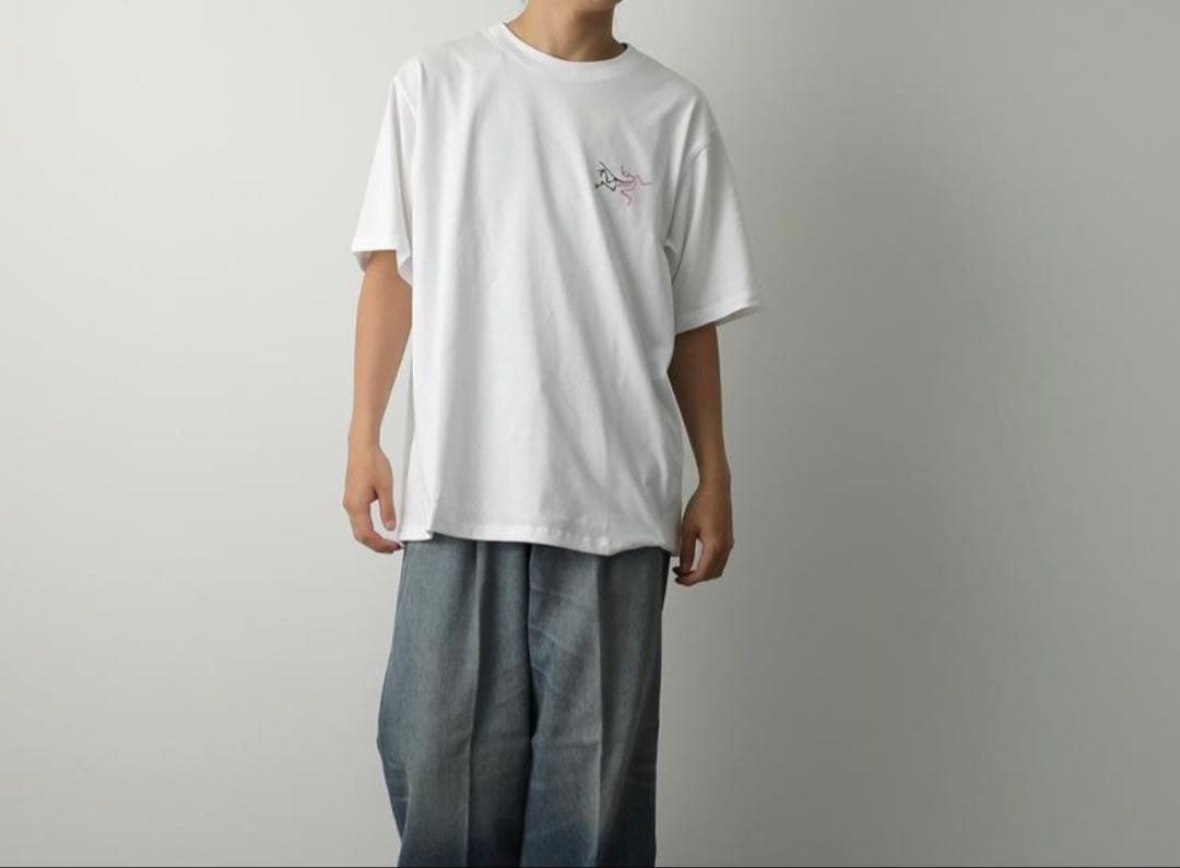 アークテリクス　メンズT