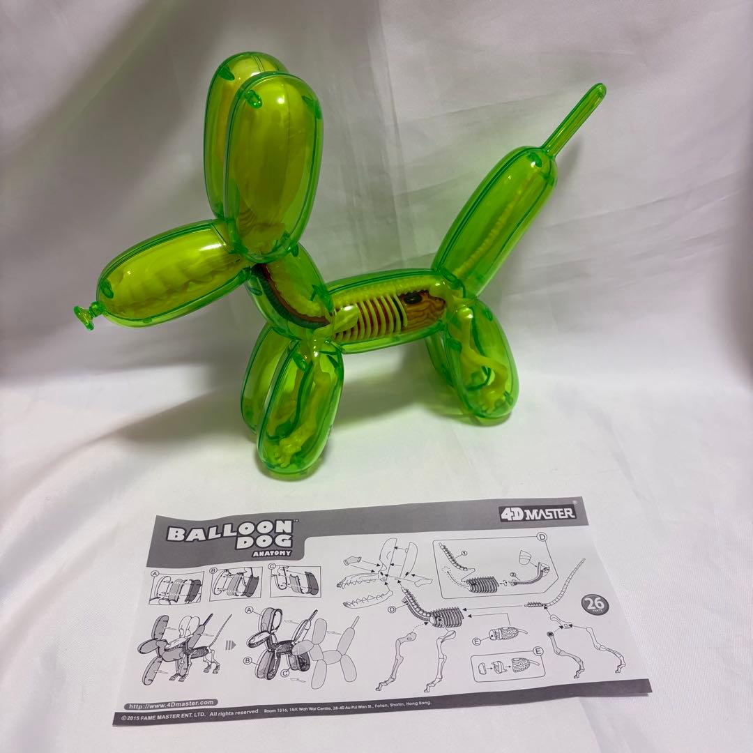 4d master フォーディーマスター バルーンドッグ　スケルトン　グリーン