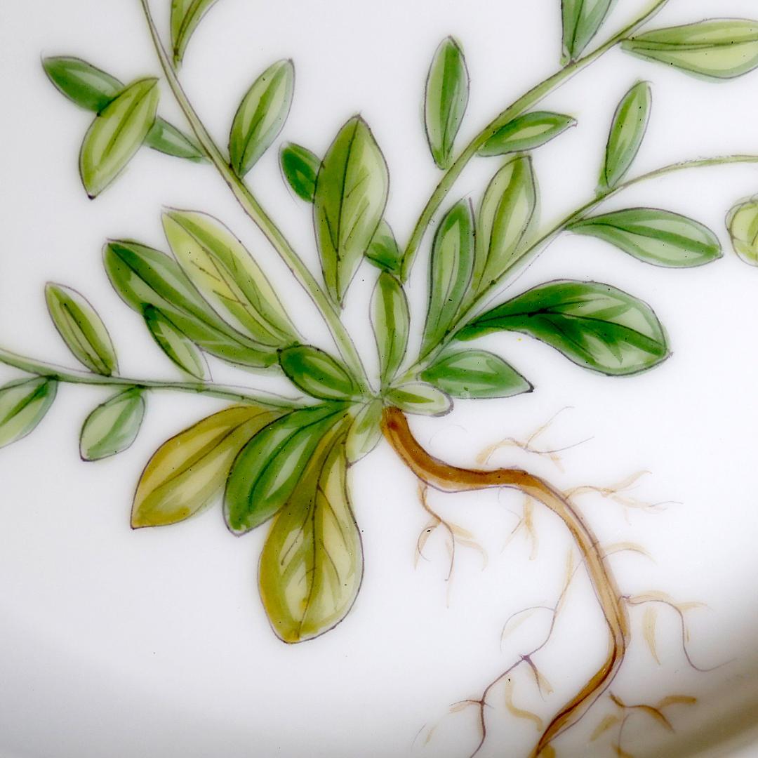 【極美品 レア】ロイヤルコペンハーゲン フローラダニカ プレート ③