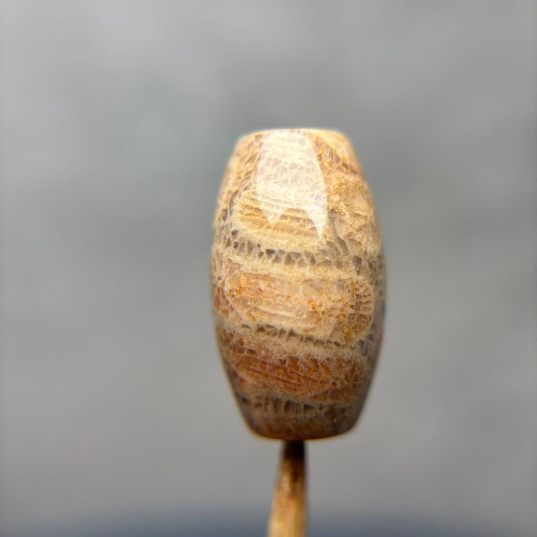 あずきちゃんフォッシルコーラル　天珠　1-299