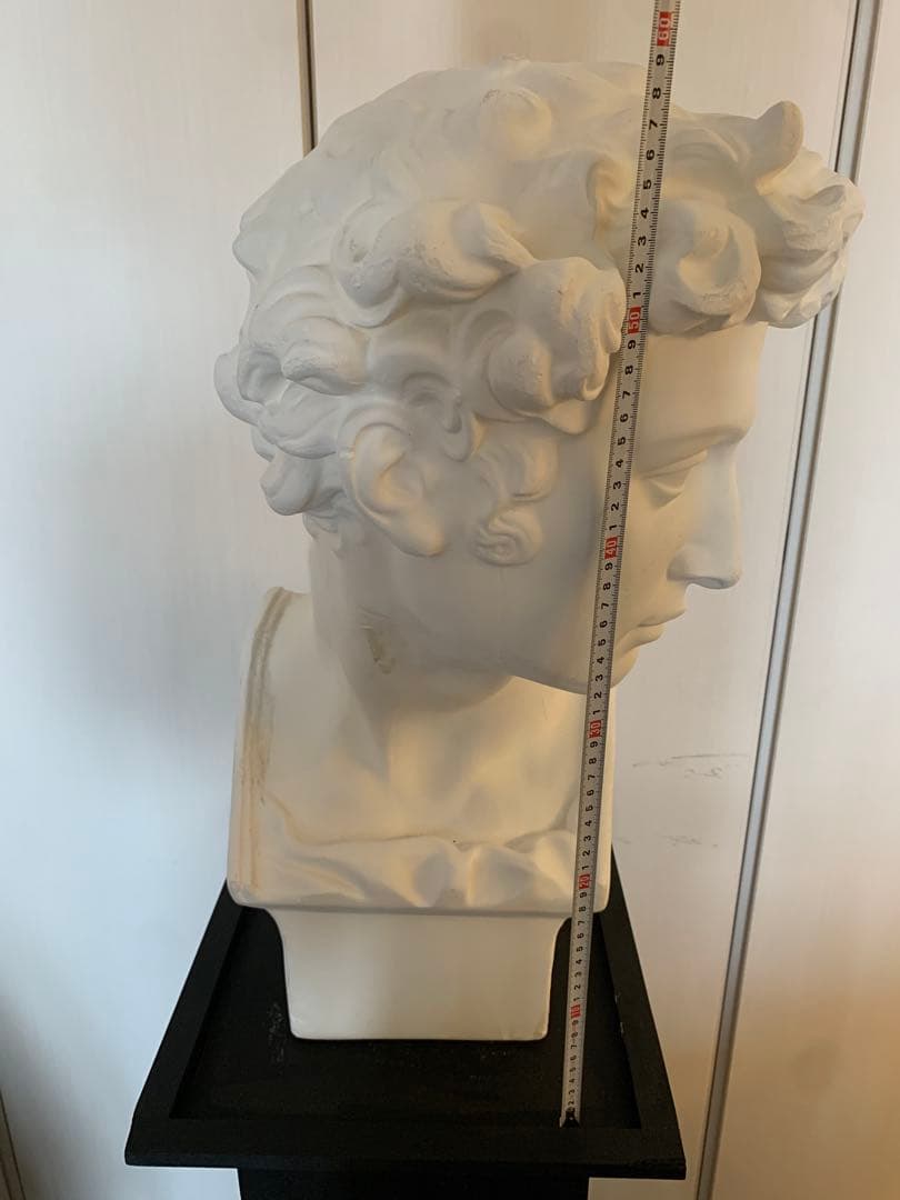 メディチ胸像　石膏像　トルソー　台座あり