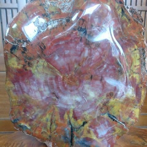 最高級 アリゾナ産 珪化木 原石 宝石 パワーストーン オブジェ 置物 化石