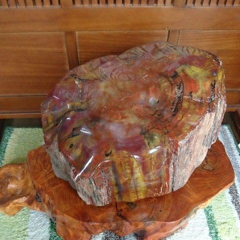 最高級 アリゾナ産 珪化木 原石 宝石 パワーストーン オブジェ 置物 化石