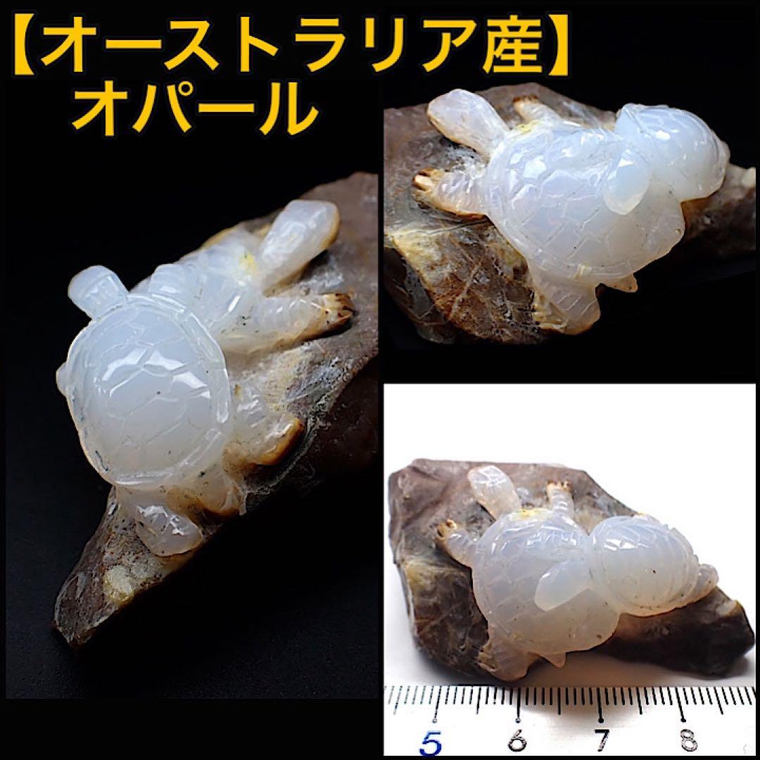 【オーストラリア産】オパールカービング(親子亀モチーフ)
