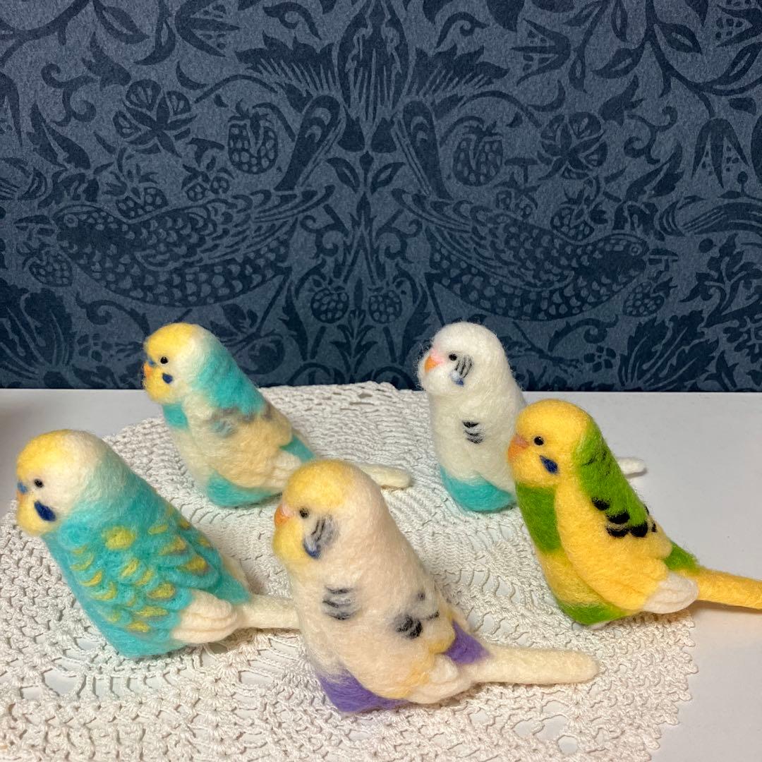 バイイー☆セキセイインコ☆実物大☆5点セット
