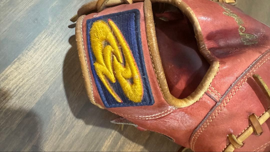 ドナイヤ　硬式オーダーファーストミット（刺繍有）