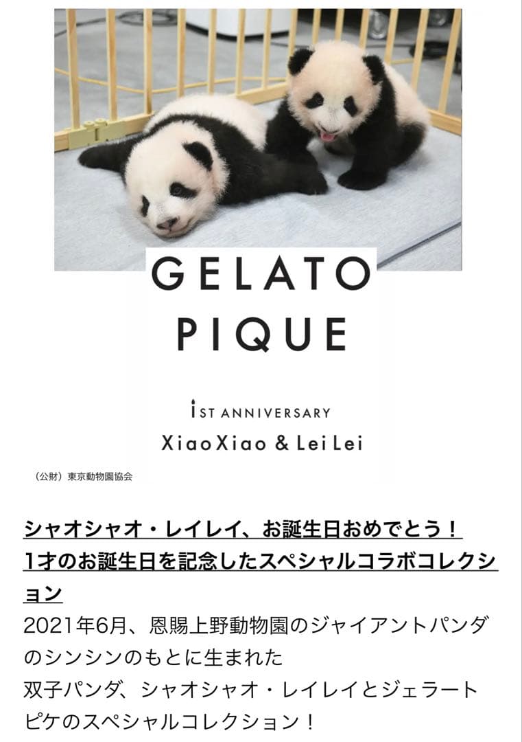 大判☆新品☆ジェラートピケ☆パンダ☆ブランケット☆シャオシャオ☆レイレイ☆カバー