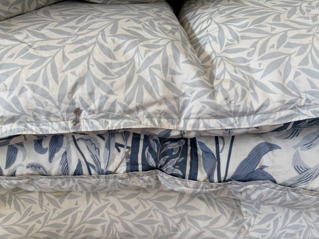 東京西川　高級羽毛 QUEENDOWN Excellent sanderson