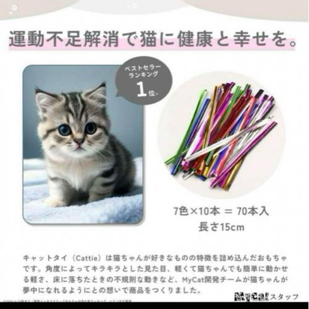 猫 おもちゃ 玩具 一人遊び 子猫 キャット 運動 自動 グッズ 遊び道具