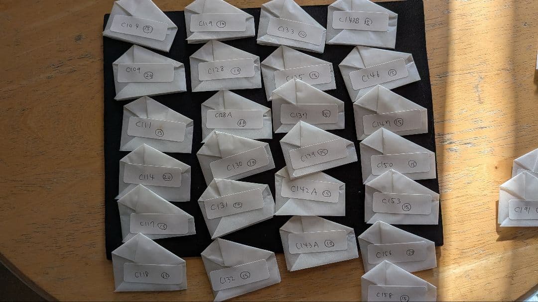 リトープス Cナンバーつき　種子セット　100種類以上　各10粒から