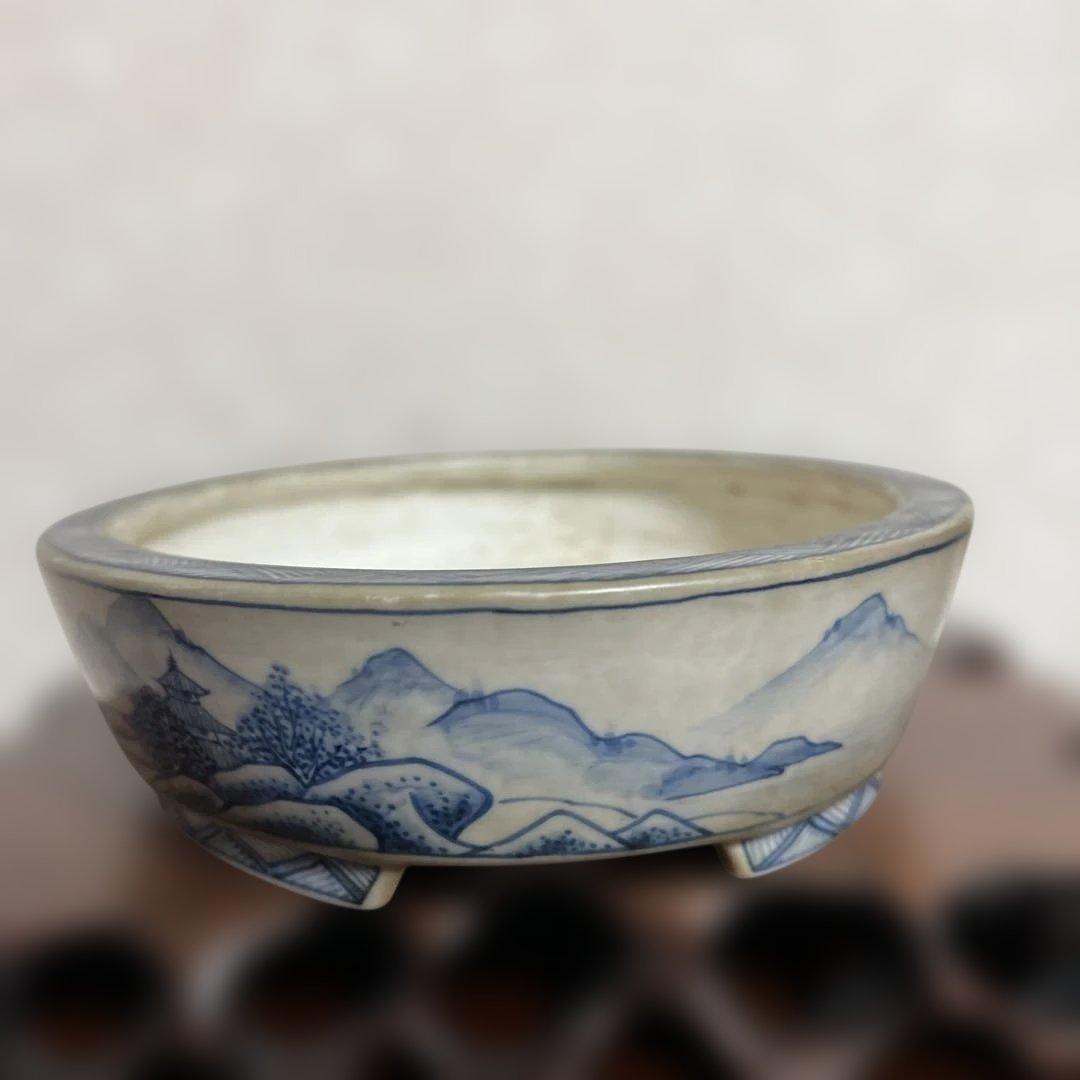 盆栽鉢　　月香