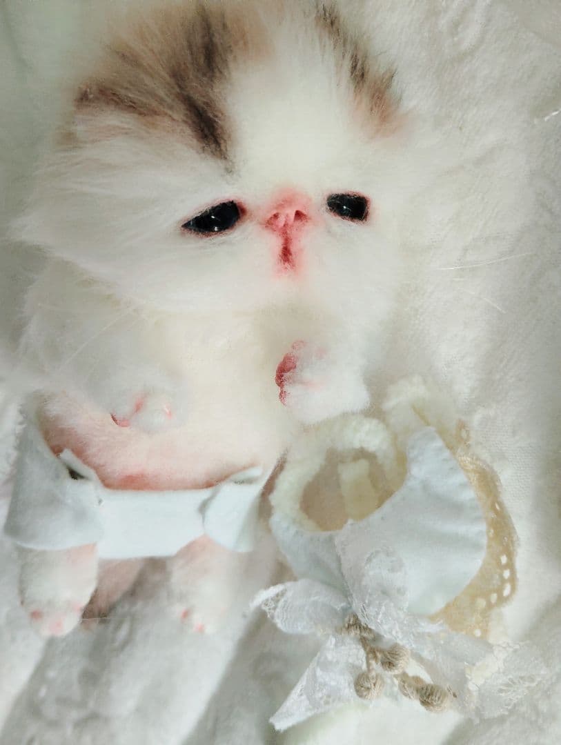 hana様御予約❤生後10日♡子猫ちゃんとうさちゃんのぬいぐるみ♡おむつ♡